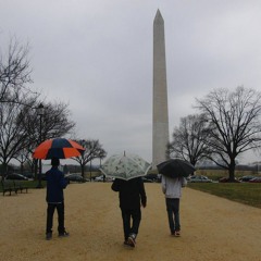 Sounds from Saturday afternoon