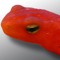Redd Efts