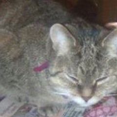 Sandy Martin Beauprey