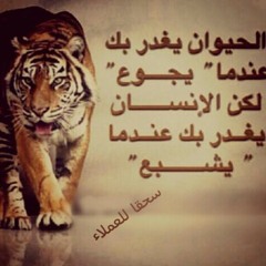 bo5aloooool_77
