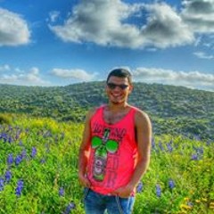 Omri Shachar
