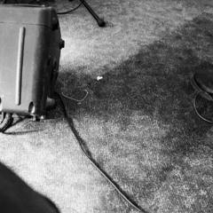 butterflies & teacups