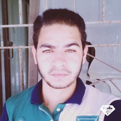 kareem essam