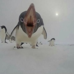fishs