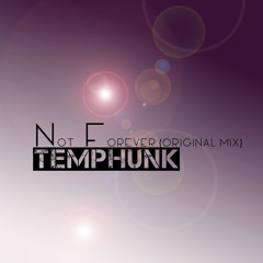Temphunk - Importency (Original Mix)