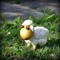 PotatoSheep