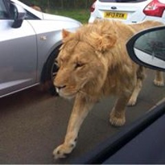 Angel Fernando Alvarado