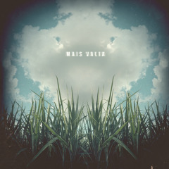 Mais Valia