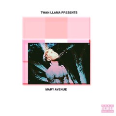 Twan Llama