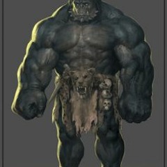 Barakus