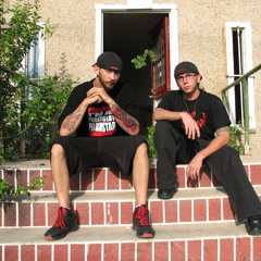 Super Smash Bros (SSB)