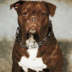 Spelletjes van Landen