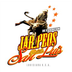 Ni por nada del mundo a La invasión de cerritos