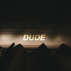 DUDE