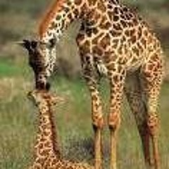 Deitra Lezette Haywood