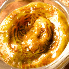 Mustard Tyger