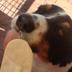 Elizabeth Sloane Thompson