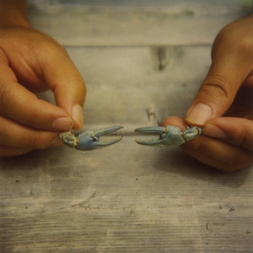 Sad Triangle (a rough draft)