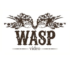 Wasp Video