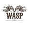 Wasp Video