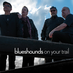 The Blueshounds