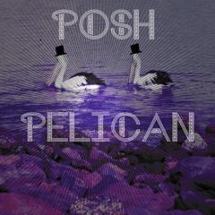 Posh Pelican