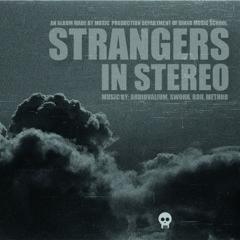 Strangers In Stereo