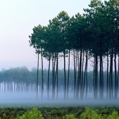 Ad Asteris:Dreaming365VII