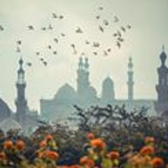 Ameena M. Sultan