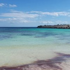 Kim Lanunziata-Krechko