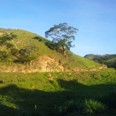 jeremias dos santos portu