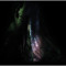 mu200_bresnick
