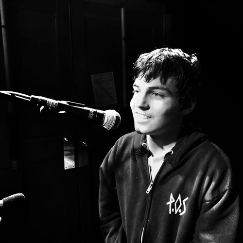 The Raconteurs - Store Bought Bones Cover