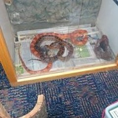 Damond Quincy Mcwilliams