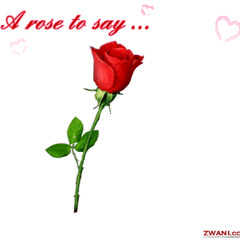 ပူစူး