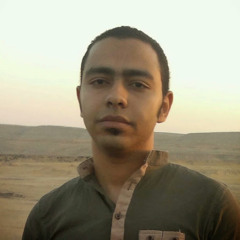 Hesham Elmaghraby