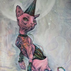 Innocentius Necessarius