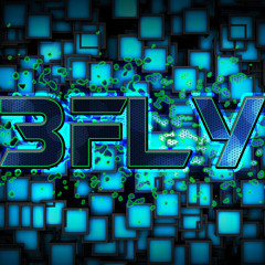 3Fly