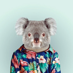 KoalaTeaVibe