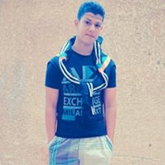Mohamed Wageeh Qassem
