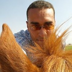 Outlawrider EL Jokar