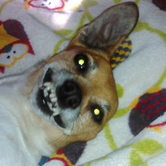 Lucifer