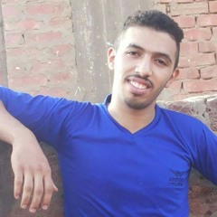walied