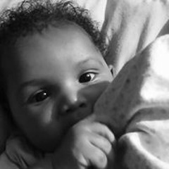 Shanika Tapreah Clegg