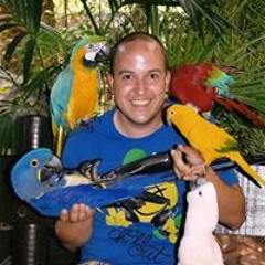 Martijn van der Mark