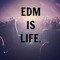 EDM FULL SUPPORT