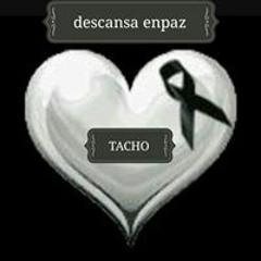 Sandra Llanira Vasques