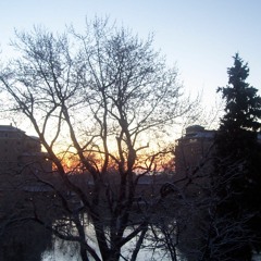 Blame It On The Moon