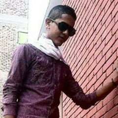 Hassan Mamdouh