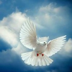 Sabrina Barton McCullough